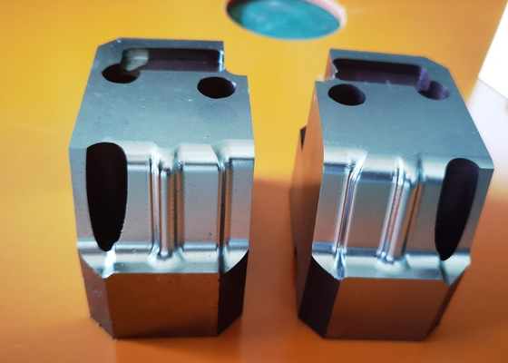 Die Casting Cavity Core Precision Mold Parts HASCO PUNCH MISUMI Standard